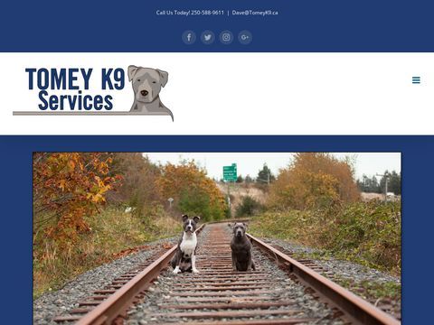 Tomey K9 Services