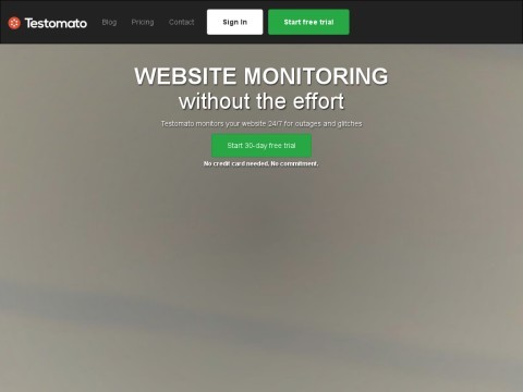 Automated Website Testing Tool