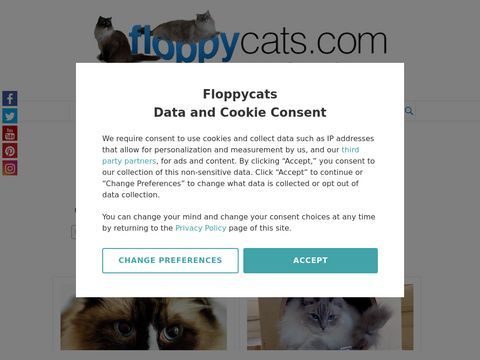 Floppycats