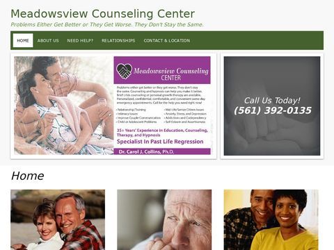 Meadowsview Counseling Center Inc