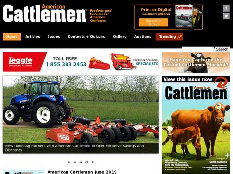 American Cattlemen - Cattle for sale