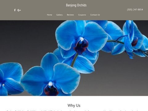 Banjong Orchids