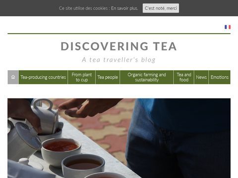 Discovering Tea, A Tea Travellers Blog