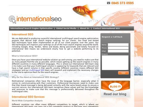 International SEO | International SEO Project | Multilingual SEO