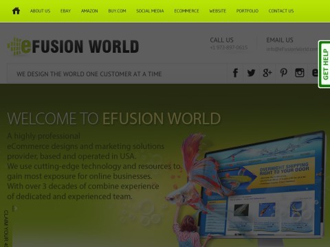 Custom Amazon, eBay Store Design, Ecommerce Website Template Page