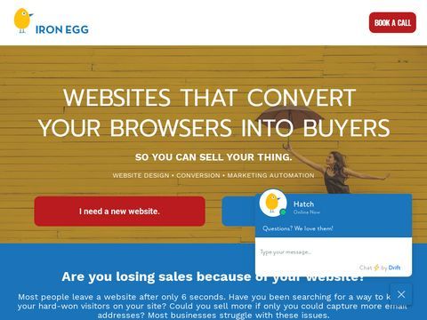 Iron Egg Website Design