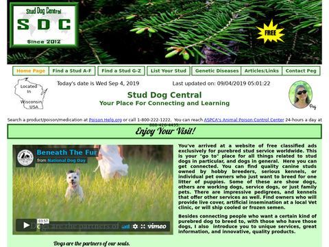 Stud Dog Central Home Page