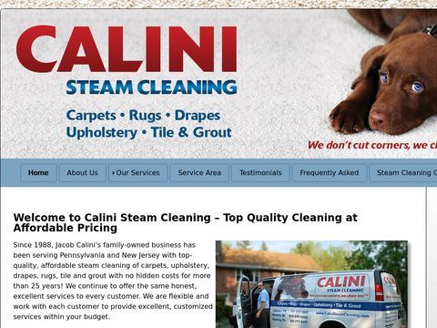 Calini Steam Cleaning