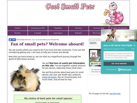 Small pets for small spaces