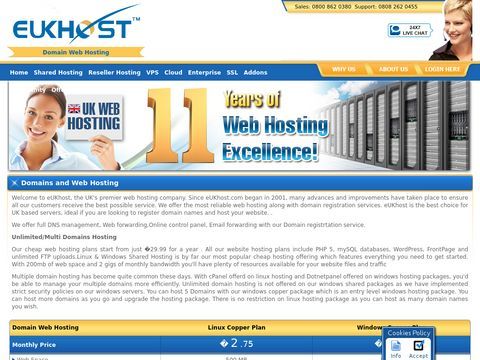 Domain Web Hosting