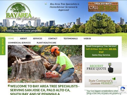 Bay Area Tree Specialists