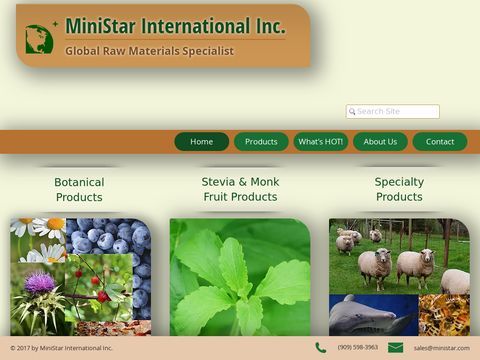 MiniStar International Inc.