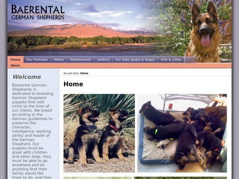 baerental german shepherds