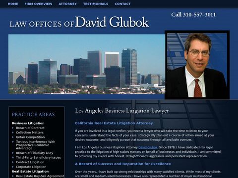 Law Offices of David Glubok