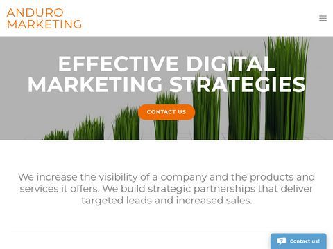 Anduro- Internet Marketing & Search Engine Optimization Firm