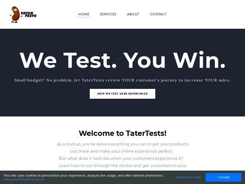 TaterTests - Understanding Your Consumers Experience