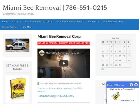 Miami Bee Removal