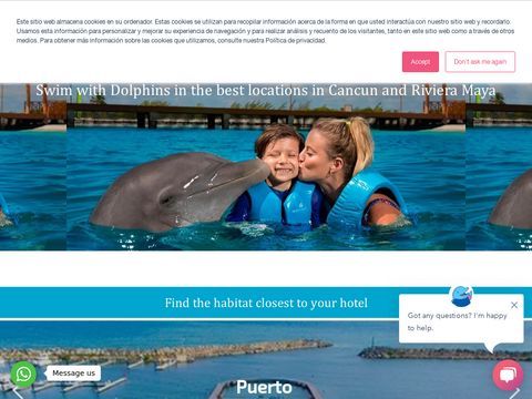 Dolphin swim in Cancun and Riviera Maya Mexico - Delphinus.