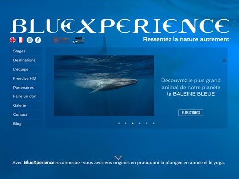 Bluexperience