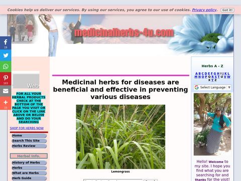 Medicinal herbs, the right choice for a health living