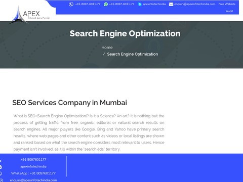 Best SEO Services in Mumbai