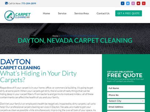 The Carpet Cleaning Pros