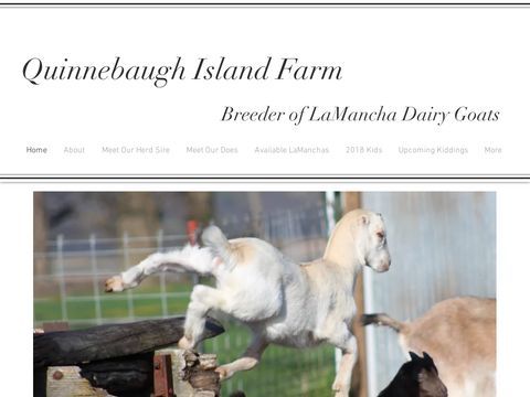 Quinnebaugh Island Farm