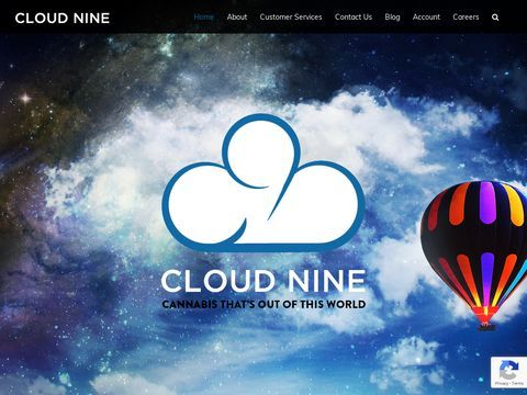 Cloud 9 Alliance Inc