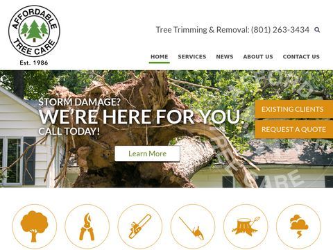 Affordable Tree Care