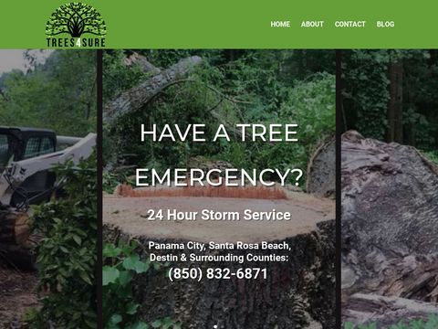 Trees 4 Sure - Tree Removal Service
