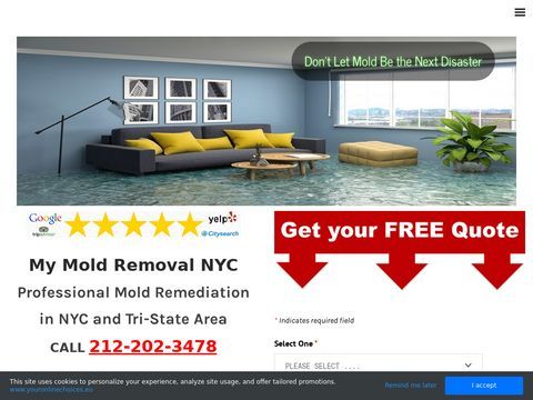 My Mold Removal NYC