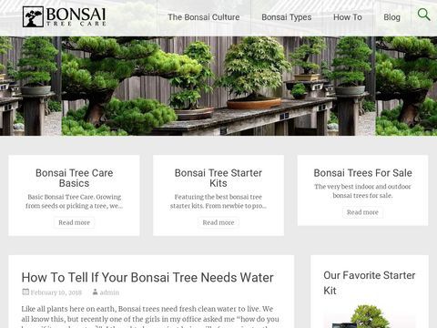 Basic Bonsai Tree Care