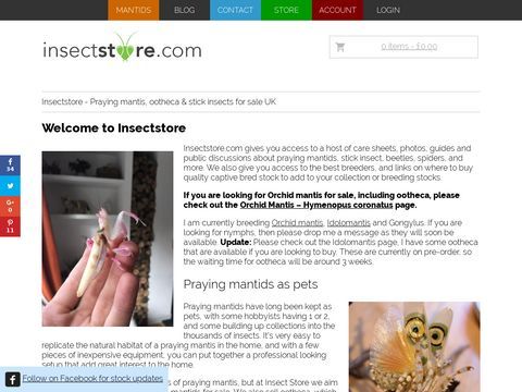 Mantisinc Insect Store - Live praying mantids, praying mantis, phasmids, beetles, live insects for sale and livefood for sale. All your exotic pet needs.