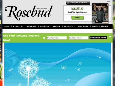 Rosebud Magazine Hydroponics Lifestyle, Fashion And Entertai