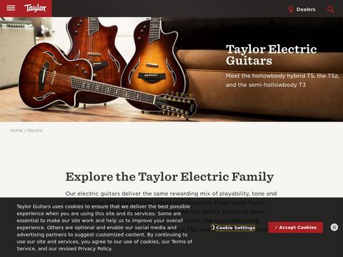 Electric Guitars
