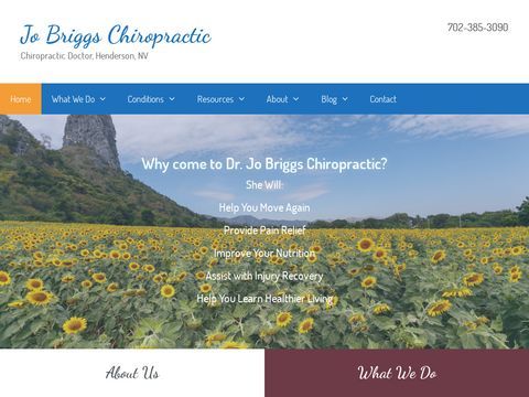 Briggs Chiropractic, PC