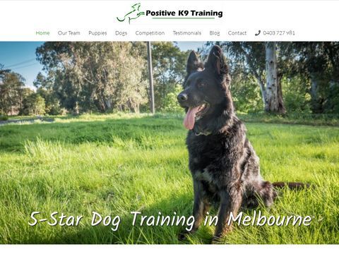 Positive K9 Training