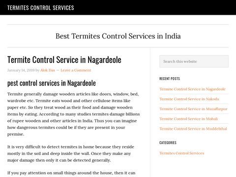 Termite Control Service