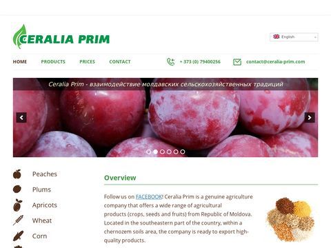 Ceralia Prim - Cereal crops from Moldova