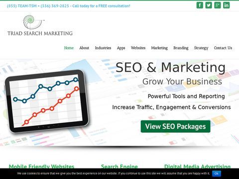 Triad Search Marketing l Web Design and Internet Marketing 
