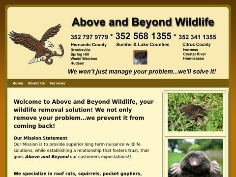 Above & Beyond Wildlife