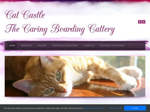 Cat Castle | Darwin Cat, Cattery Boarding, Accommodation in Jingili, Australia