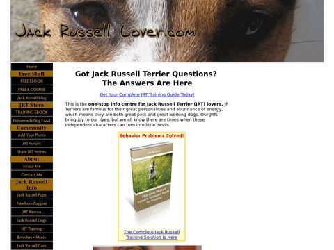 Jack Russell Lover Info Site