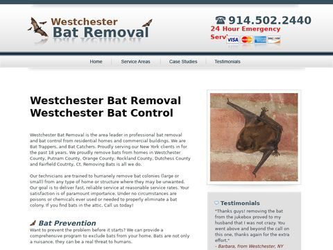 Westchester Bat Removal