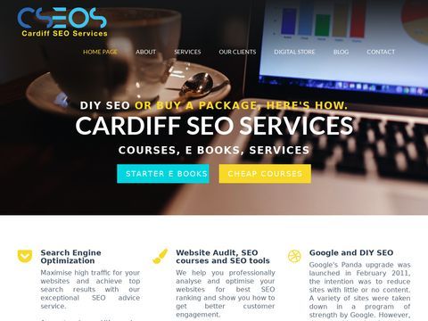 Cardiff SEO Services