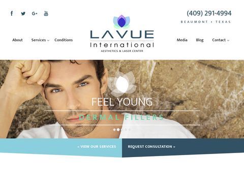 LAVUE International