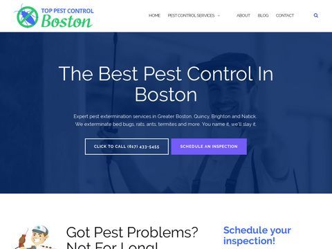 Top Pest Control Boston