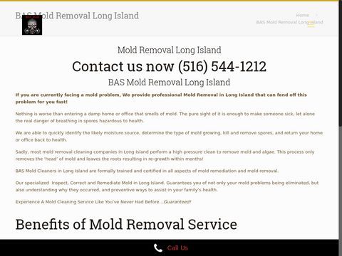 BAS Mold Removal Long Island