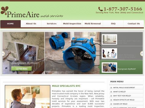 PrimeAire Mold Services