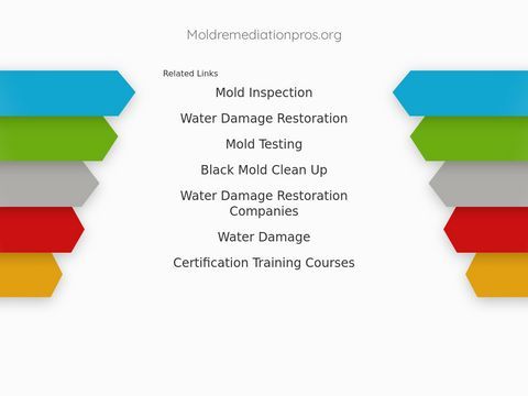 Mold Removal Chicago IL | Mold Remediation Pros